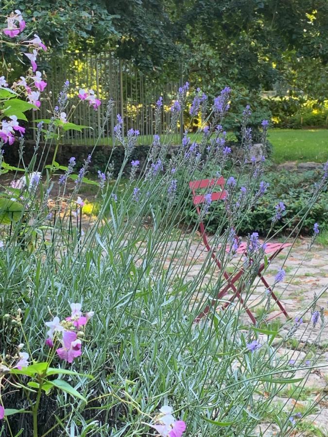 Moulin De Champrond -Montmirail -Sarthe B&B 외부 사진