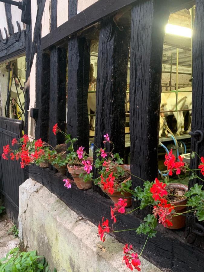 Moulin De Champrond -Montmirail -Sarthe B&B 외부 사진