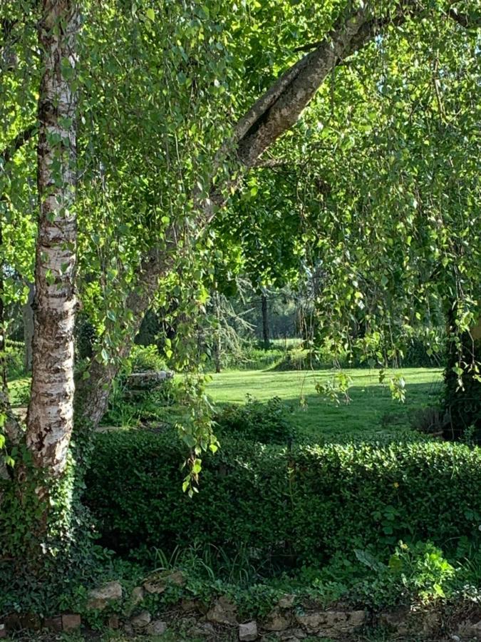 Moulin De Champrond -Montmirail -Sarthe B&B 외부 사진