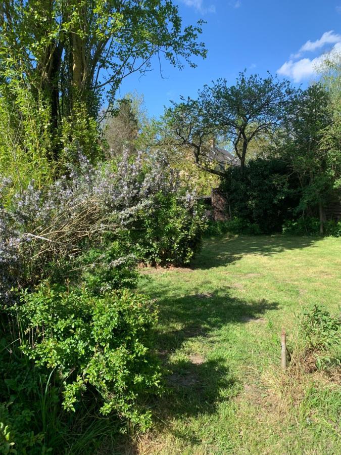 Moulin De Champrond -Montmirail -Sarthe B&B 외부 사진