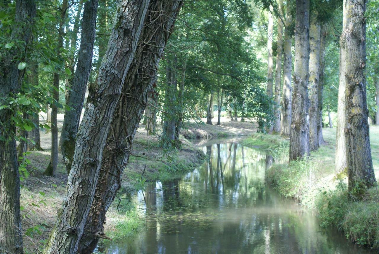 Moulin De Champrond -Montmirail -Sarthe B&B 외부 사진