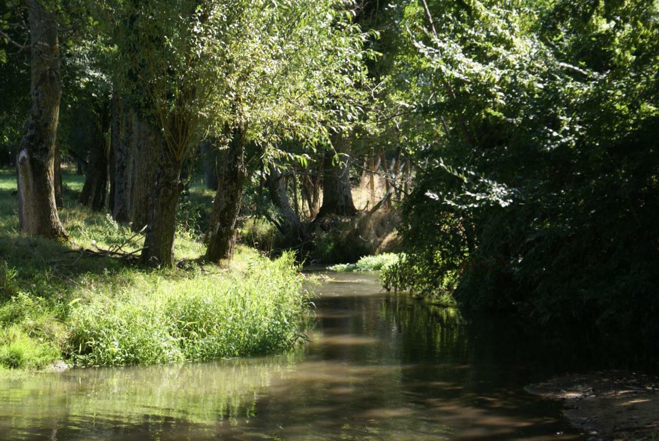 Moulin De Champrond -Montmirail -Sarthe B&B 외부 사진