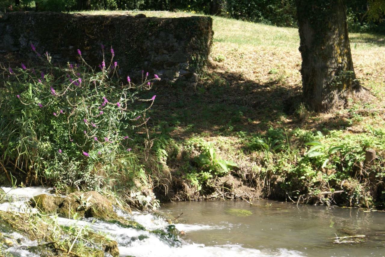 Moulin De Champrond -Montmirail -Sarthe B&B 외부 사진
